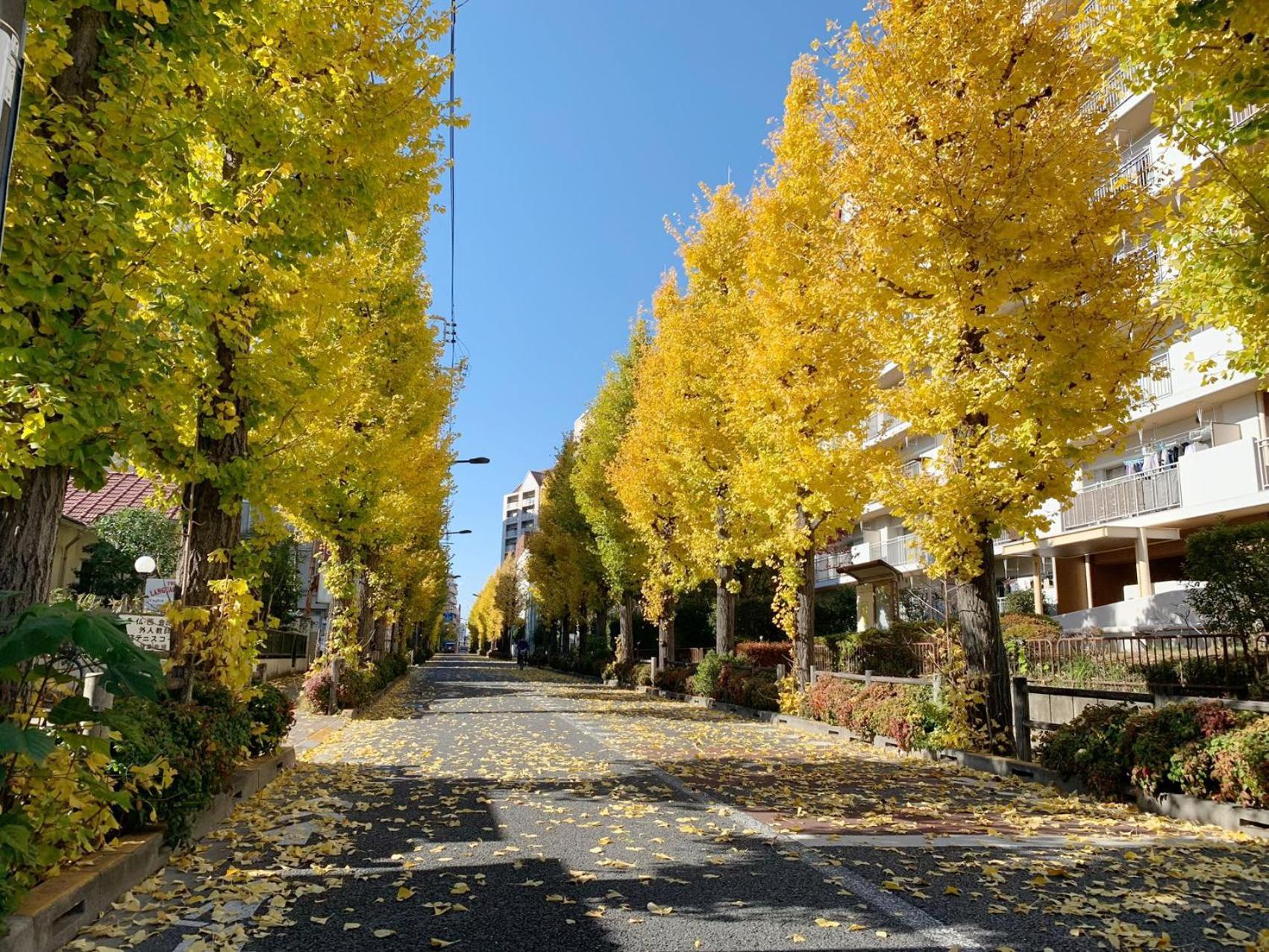 Rosenheim Tokyo Shinjuku Ξενοδοχείο Εξωτερικό φωτογραφία